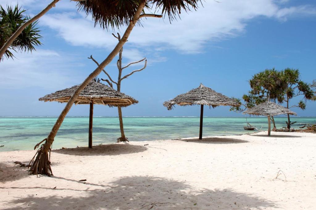 Nest Style Beach Hotel Zanzibar Makunduchi Exterior photo