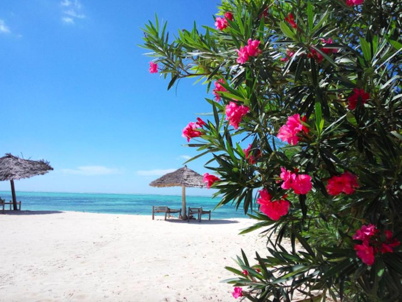 Nest Style Beach Hotel Zanzibar Makunduchi Exterior photo